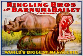 Ringling Bros. and Barnum & Bailey: Rhino and Hippo