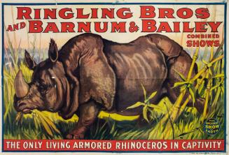 Ringling Bros. and Barnum & Bailey: The Only Living Armored Rhinoceros In Captivity