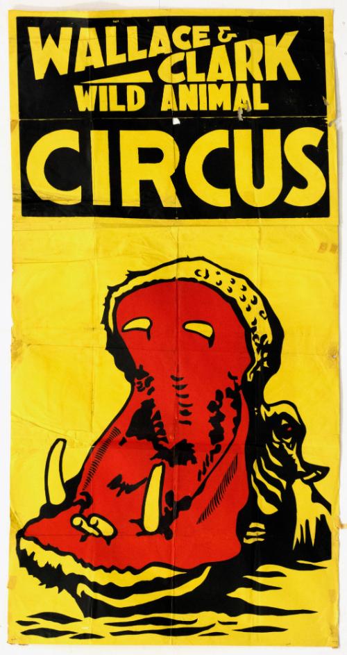 Wallace & Clark: Hippo