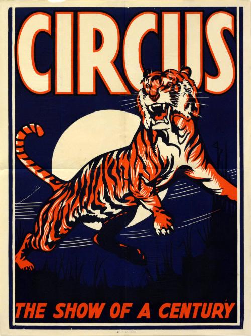 Stock: Tiger