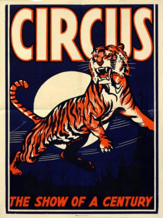 Stock: Tiger