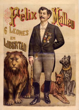 Felix Malleu: Lion Trainer