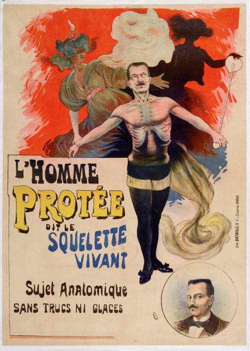 L'Homme Protee-Squelette Vivant