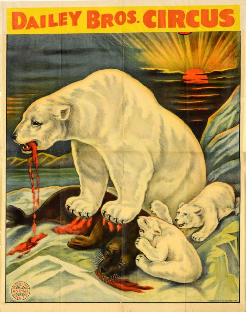 Dailey Bros.: Polar Bears Attacking a Seal