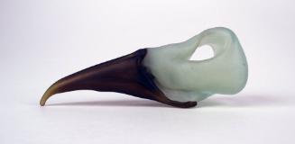Bird Skull