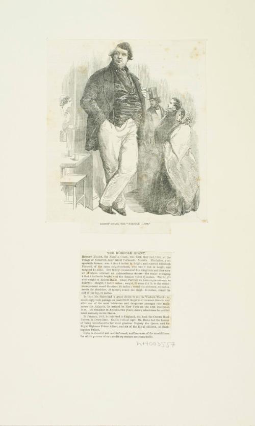 Illustrated Newspaper clipping about The Norfolk Giant, Robert Hales. c. 1851