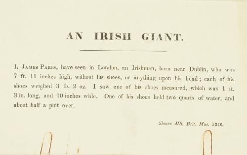 Testament to seeing the Irish Giant