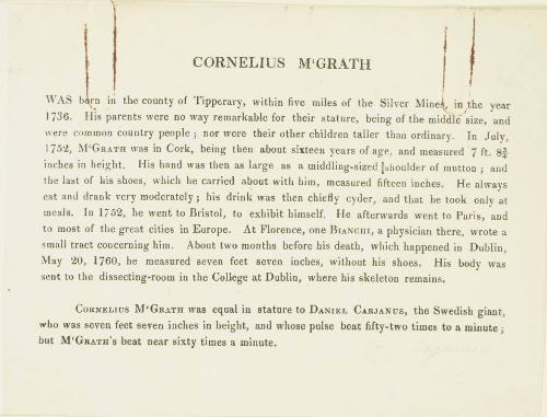 Biography of Cornelius M'Grath, Giant