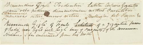 Handwritten description of Bernardo Gigli