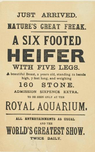 Handbill for Royal Aquarium, A Six Footed Heifer with 5 legs. 1895