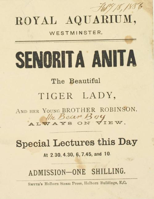 Handbill for Royal Aquarium, Westminster : Senorita Anita, The Beautiful Tiger Lady. February 18, 1886