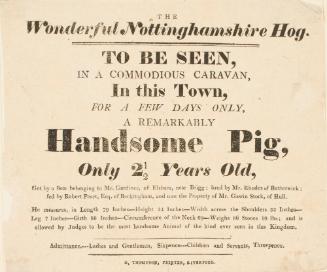 Handbill for The Wonderful Nottinghamshire Hog, Liverpool
