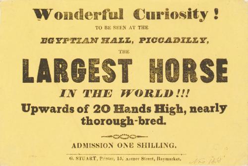 Handbill for The Largest Horse in the World at Egyptian Hall, Piccadilly