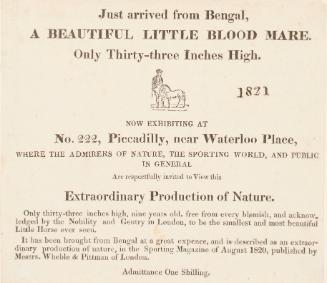 Handbill for No. 222 Piccadilly, an exhibition of A Beautiful Little Blood Mare