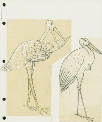 Stork Costume