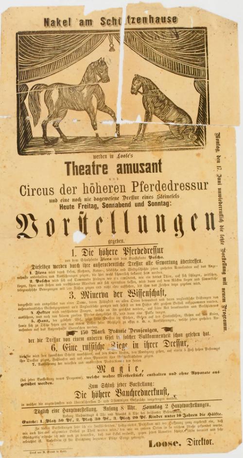 Loofe's Theatre Amusant und Circus der hoheren Pferdedressur