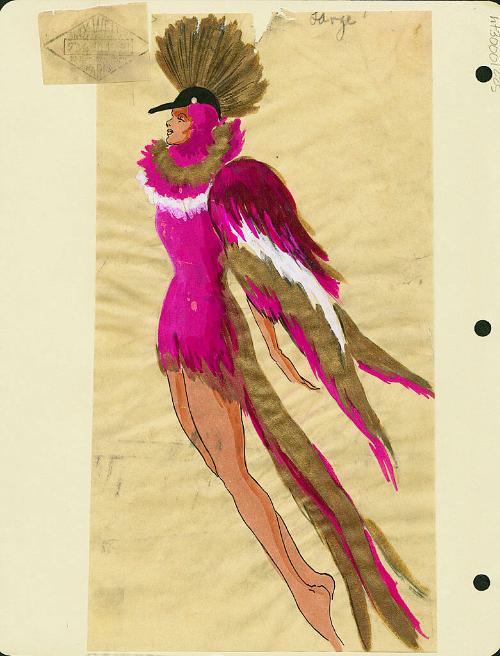 Bird Costume