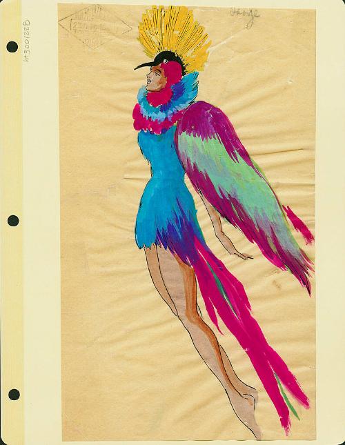Bird Costume