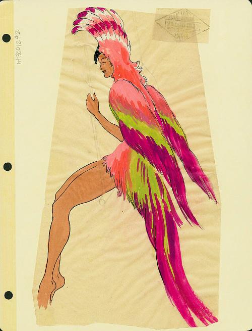 Bird Costume