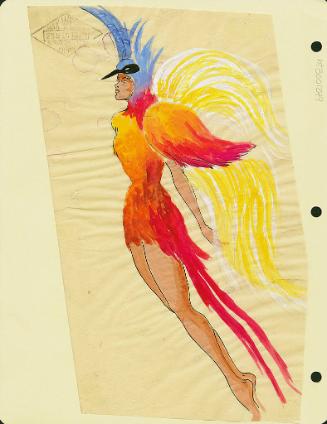 Bird Costume