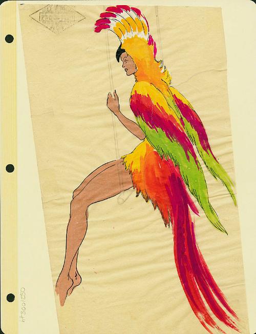 Bird Costume