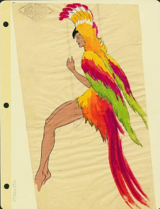 Bird Costume