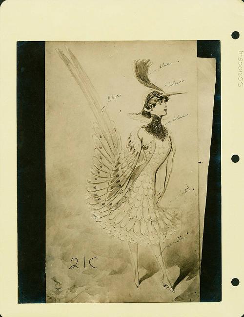 Robsinson Show: Bird Costume