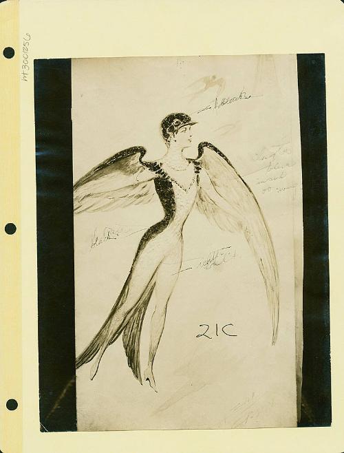 Robsinson Show: Bird Costume