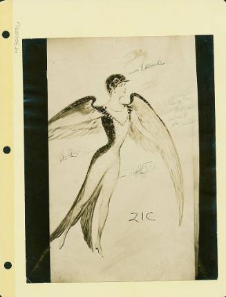 Robsinson Show: Bird Costume