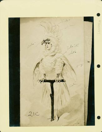 Robsinson Show: Bird Costume