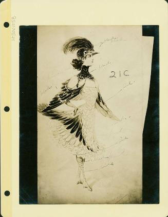 Robsinson Show: Bird Costume