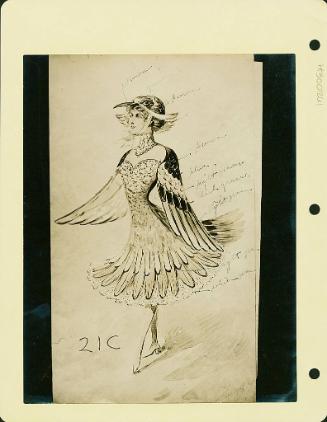 Robsinson Show: Bird Costume