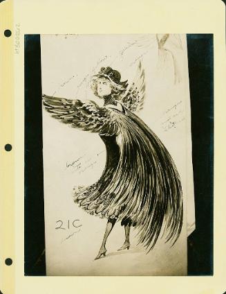 Robsinson Show: Bird Costume