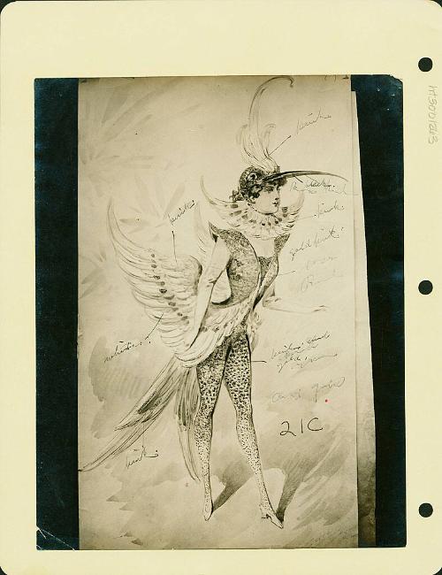 Robsinson Show: Bird Costume