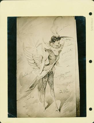 Robsinson Show: Bird Costume