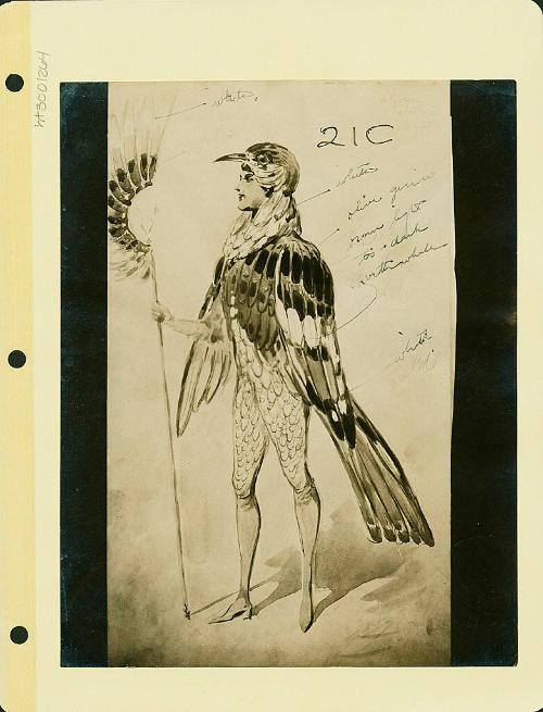 Robsinson Show: Bird Costume