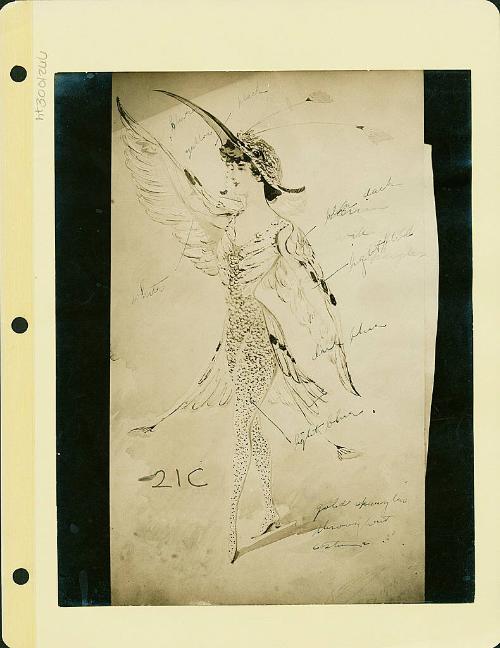 Robsinson Show: Bird Costume