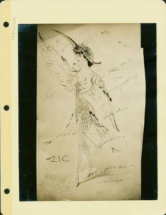 Robsinson Show: Bird Costume