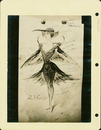Robsinson Show: Bird Costume