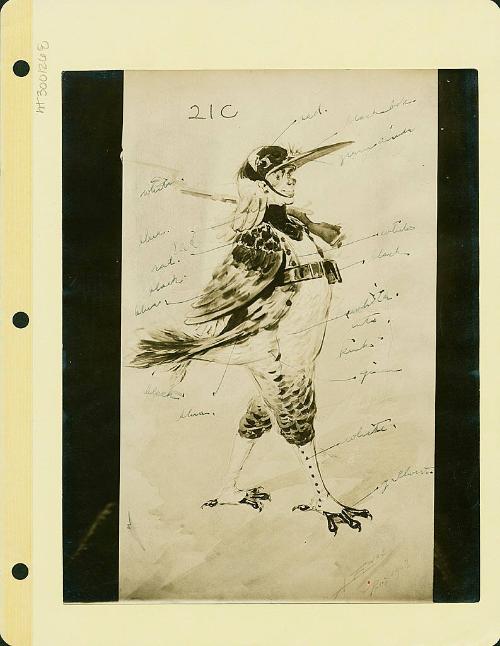 Robsinson Show: Bird Costume