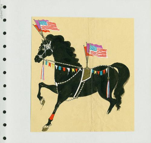 Horse Trappings