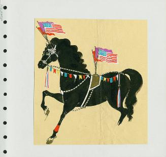 Horse Trappings