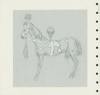 Horse Trappings