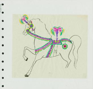 Horse Trappings