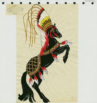 Horse Trappings