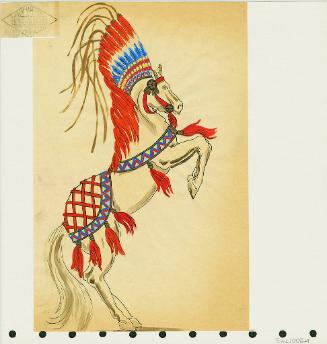 Horse Trappings