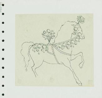 Horse Trappings
