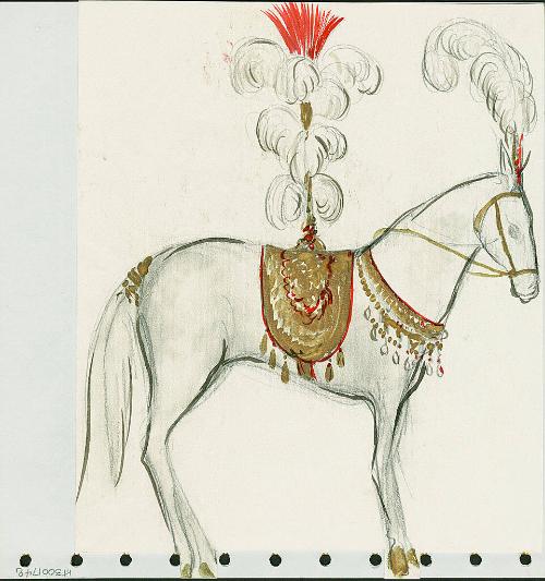 Horse Trappings