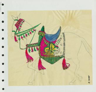 Horse Trappings