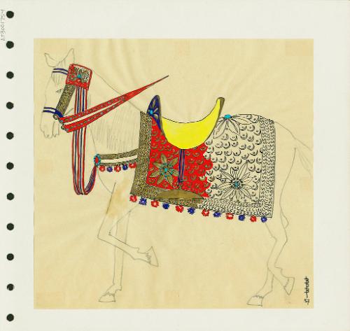 Horse Trappings